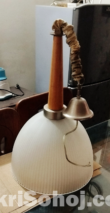 2 large ceiling hanging light shades